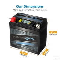 Chrome Pro Battery YTX14-BS IGEL ATV baterija za Yamaha YFM660RN, RT, RP, RR, RL, RS Raptor 660CC 01-'05