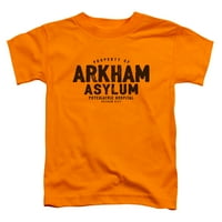 Batman - Arkham Asylum - Majica kratkih rukava - 2T