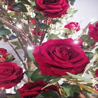 Veliko stablo crvene ruže s toplom bijelom LED -om