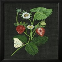 Polja od jagoda I, Botanički uokvireni umjetnički print zid umjetnosti Melissa Wang prodala Art.com