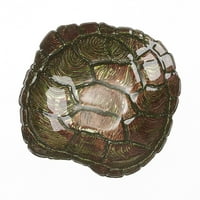 Školjke kornjače 9 zdjele od zelenog zlata