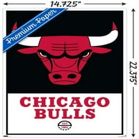 Chicago Bulls - plakat s logotipom na zidu, 14.725 22.375