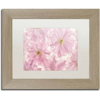 Zaštitni znak likovna umjetnost 'Pink Chifry Blossom' platno umjetnost Cora Niele, White Matte, okvir breze