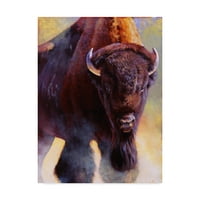 Zaštitni znak likovna umjetnost 'Warrior Buffalo' platno umjetnost Julie T. Chapman