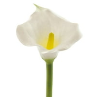 Umjetni ljiljan Kala-cvijeće od prirodne svile za Mladenkin buket, uređenje doma, obrt, umjetnost i obrt, vrt,