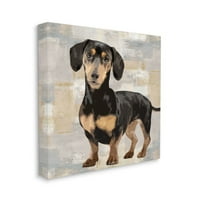 Stupell Industries Dahshund Pas Portret Neutral sivi bež patchwork dizajn Keri Rodgers, 30 30