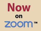 Online consulting skills zoom course